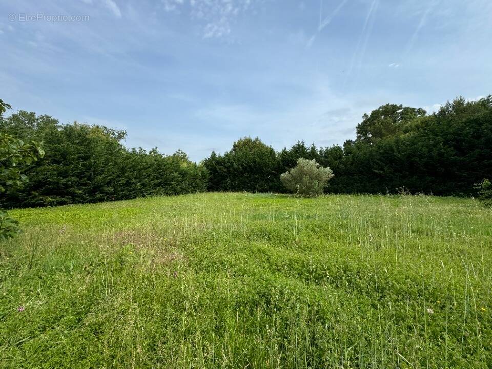 Terrain à SAINT-PAPOUL