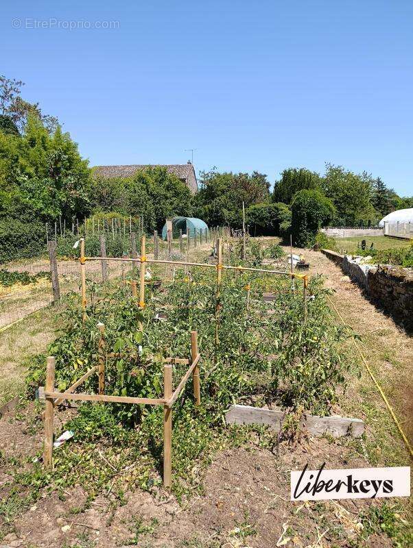 Maison de village - jardin - 67 m² habitable - dépendances - photo 7