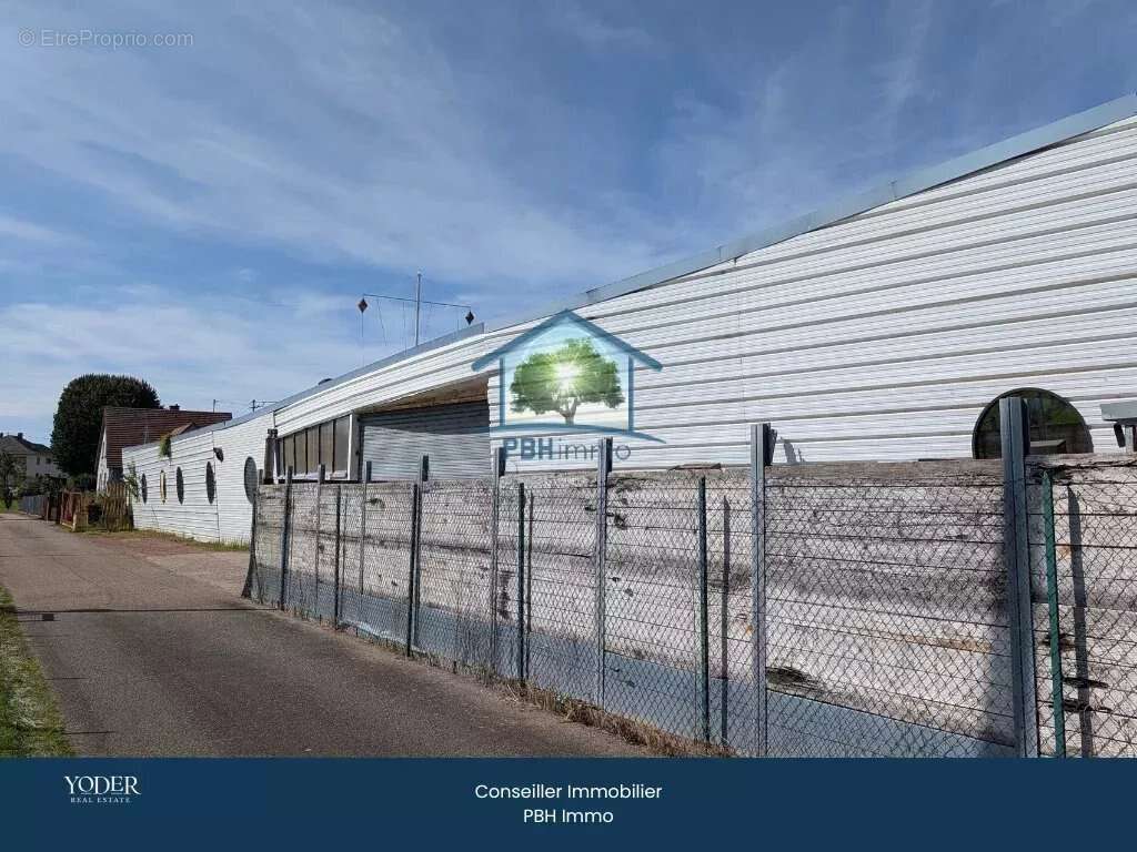 Commerce à NIEDERMODERN