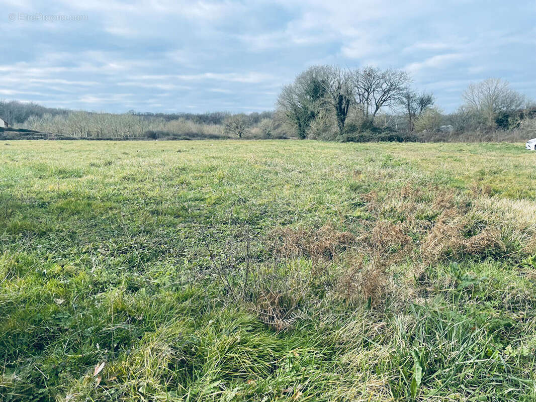 Terrain à LES FORGES