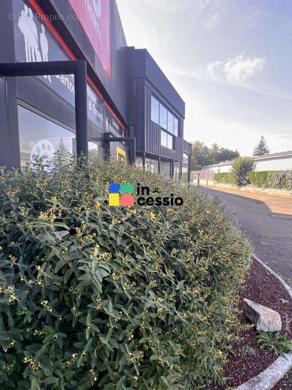 Belle opportunité : Superbe surface commerciale au coeur de la - photo 6