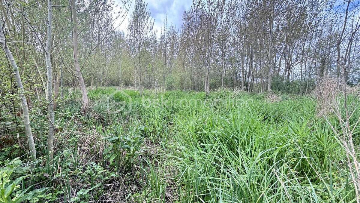 Terrain à SAINT-MAIXENT-L'ECOLE