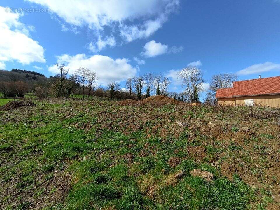Terrain à FERRIERES-SUR-SICHON