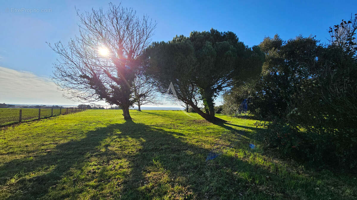 Maison à PORT-DES-BARQUES