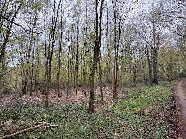 Autre à FUMICHON