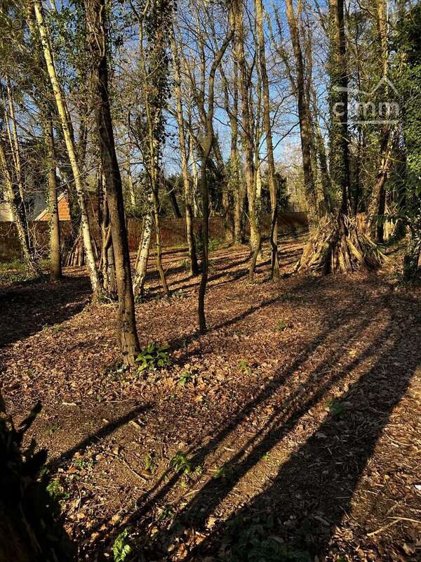 Terrain à CONGIS-SUR-THEROUANNE