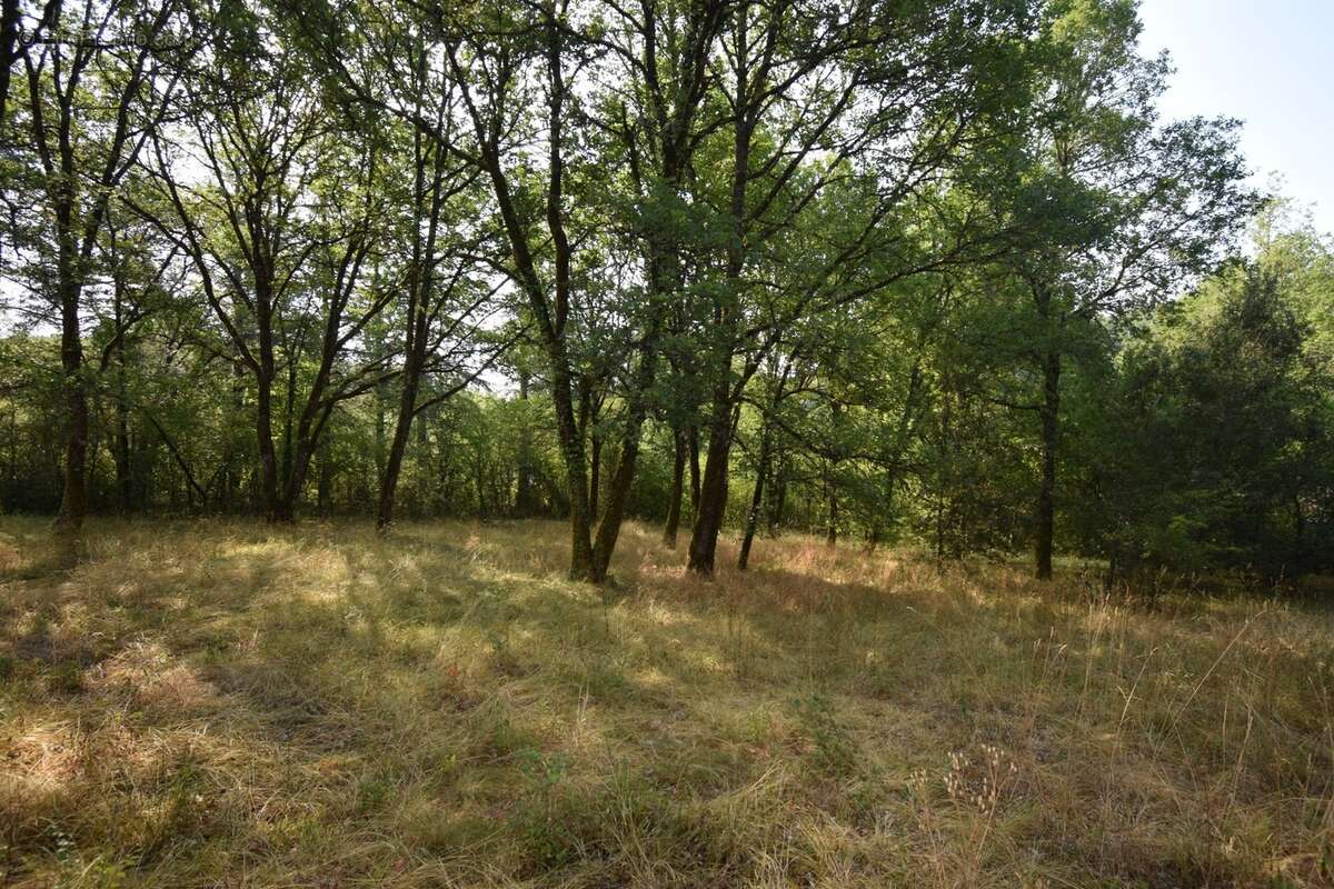 Belle Propriété à vendre 5 pièces VERS (46) - photo 5