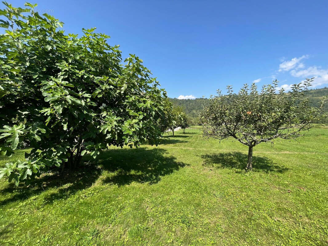 Terrain à VAULNAVEYS-LE-BAS