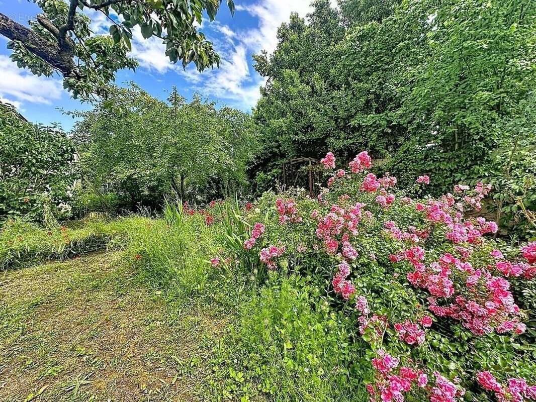 Maison 88 m² à Villeneuve-Saint-Georges  - photo 5