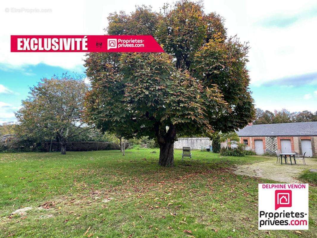 Maison à VITRY-AUX-LOGES