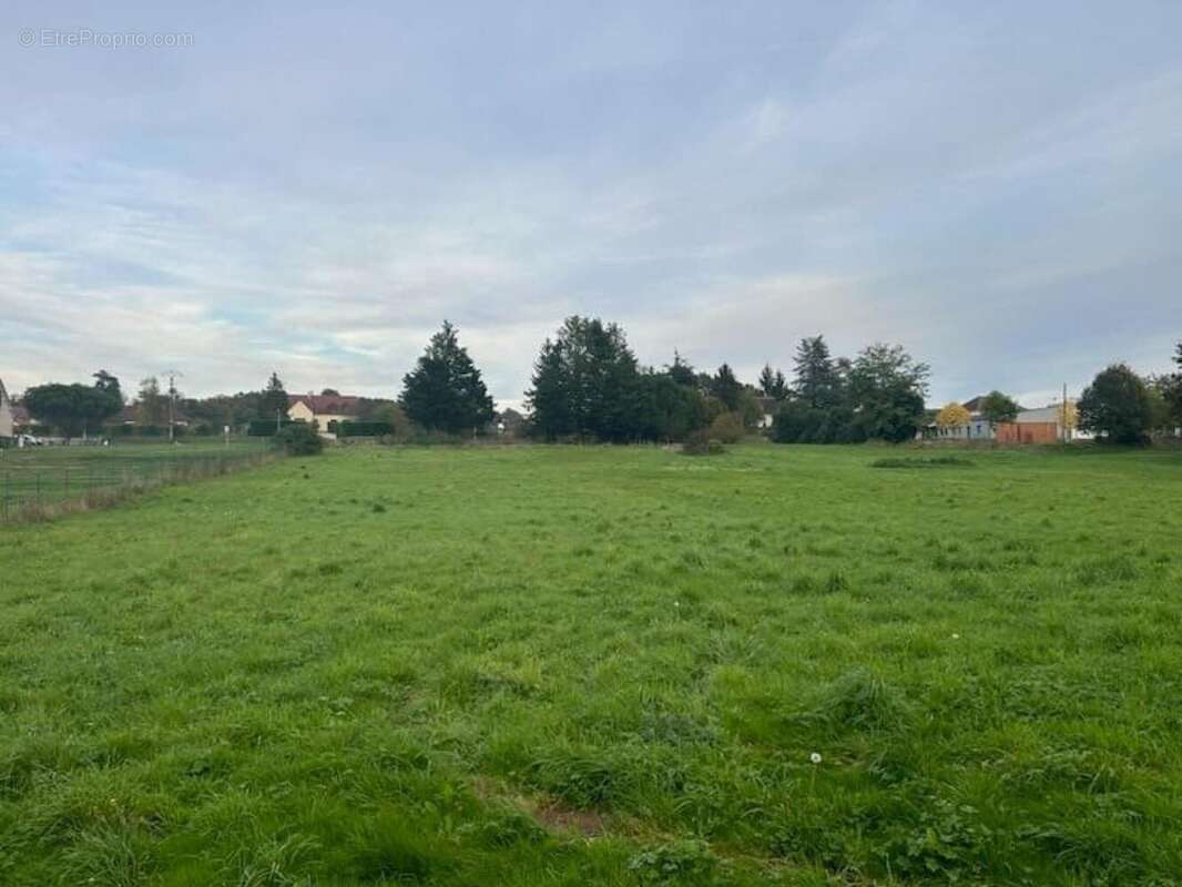 Photo 4 - Terrain à POULIGNY-SAINT-PIERRE