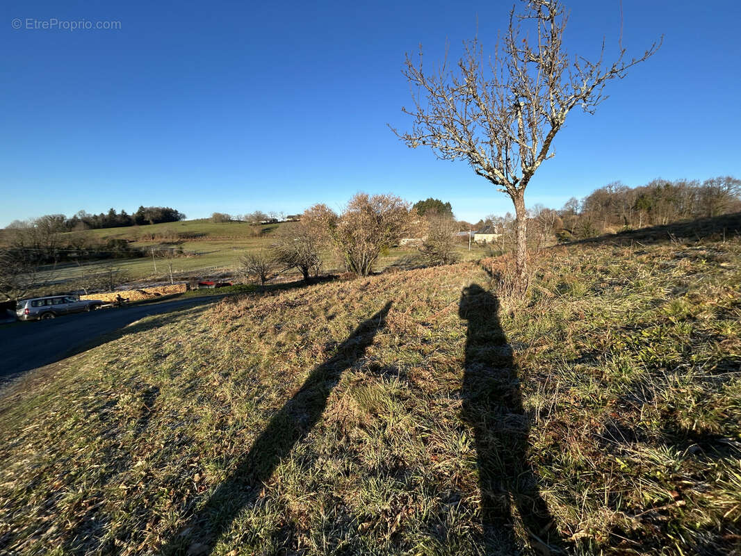 Terrain à SAINT-MEXANT