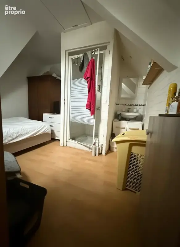 Appartement T2 Saint Barthélémy d'Anjou - photo 4