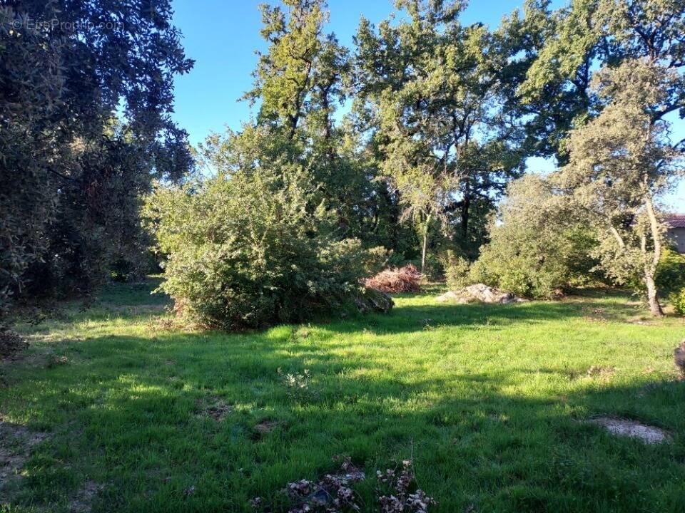 Terrain à CAMPS-LA-SOURCE