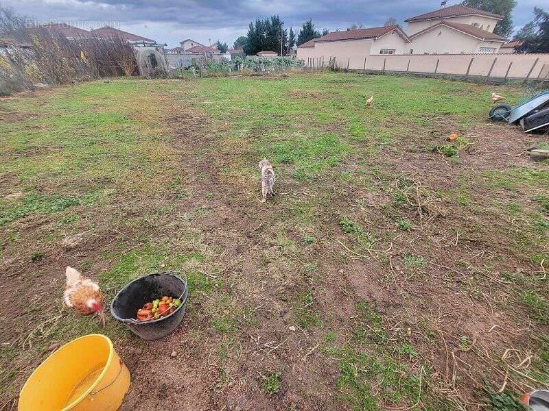 Terrain à MONTROND-LES-BAINS