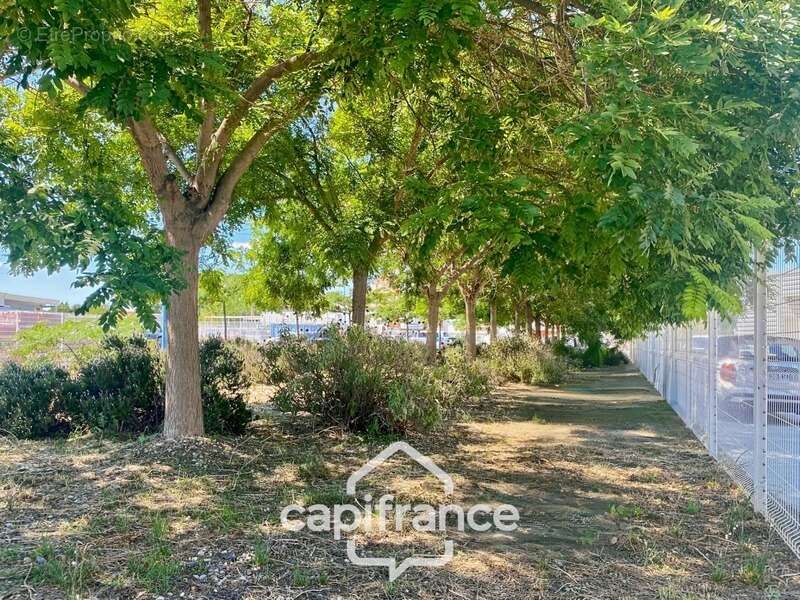 Commerce à LE SOLER