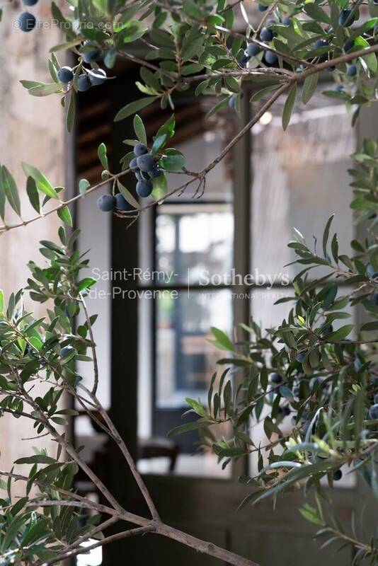 Maison à SAINT-REMY-DE-PROVENCE