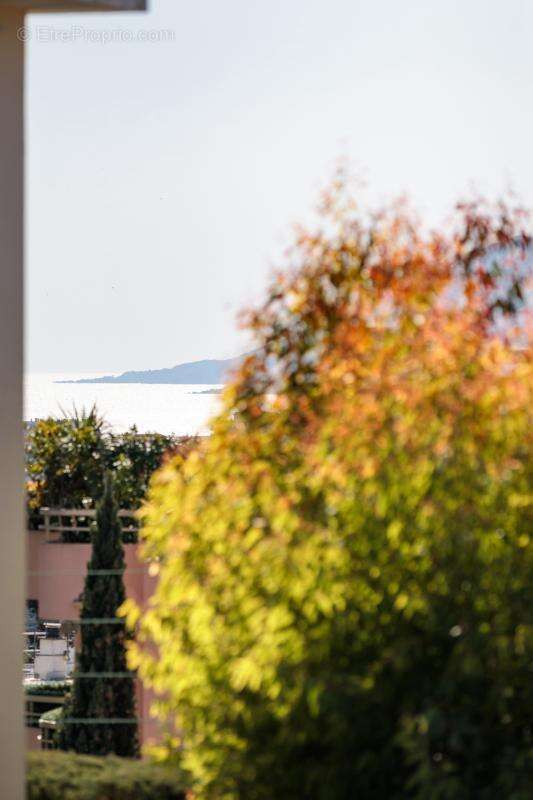 Appartement à LE CANNET