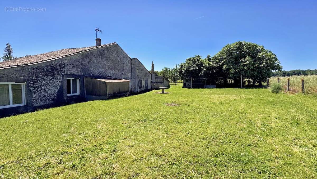 Maison pierre et moellons à NAUJAN - photo 8