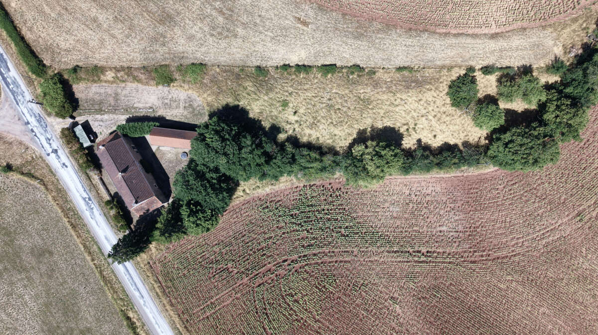 Grande maison de campagne - photo 3
