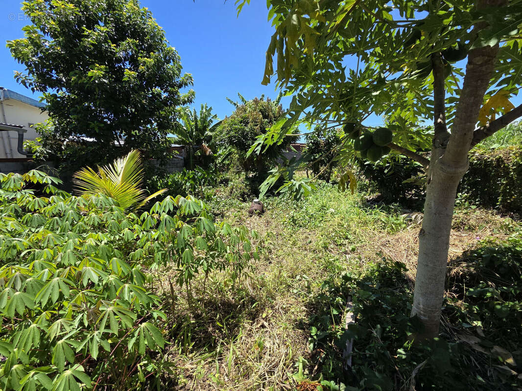 Photo 5 - Terrain à SAINT-ANDRE