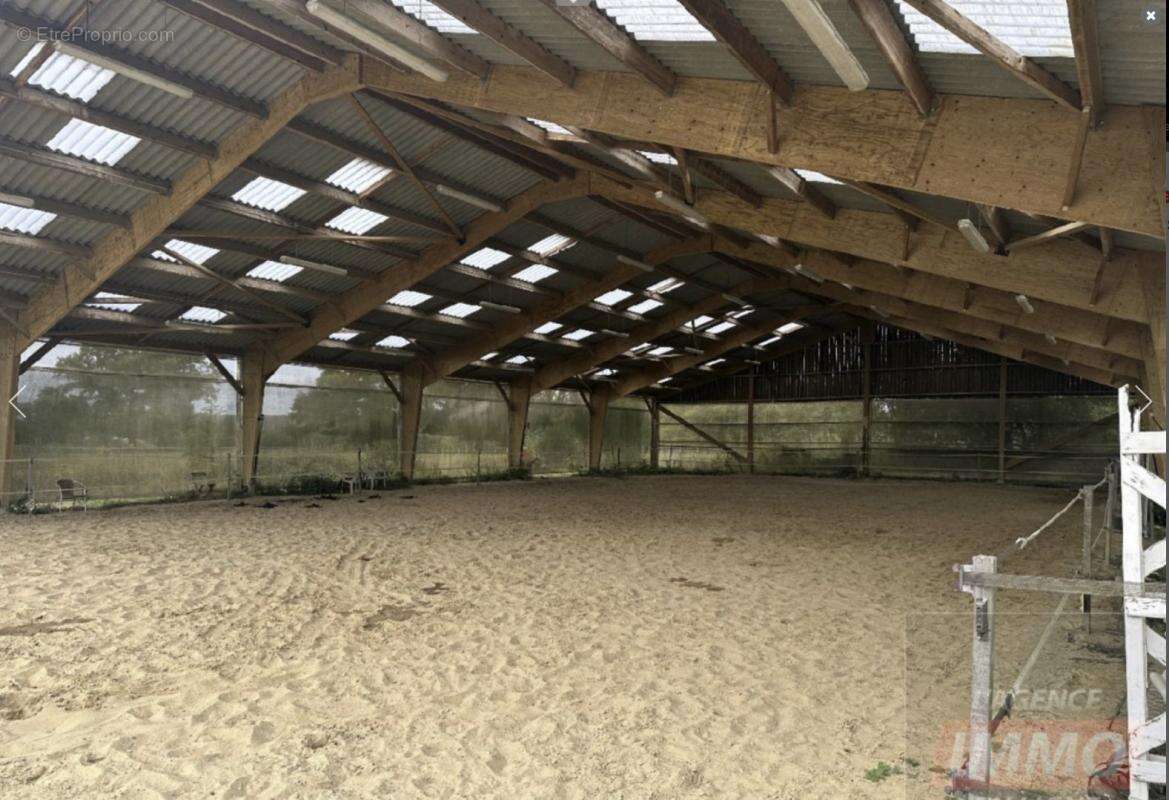 Haras / Equestre - photo 8