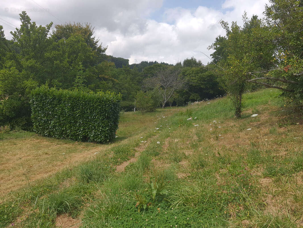 Photo 9 - Maison à GUEUGNON