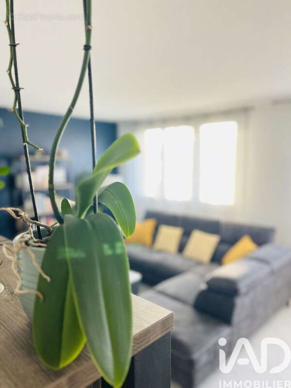 Photo 2 - Appartement à SAINT-CYR-SUR-LOIRE