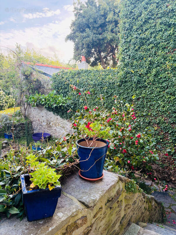 Maison à SAINT-MALO