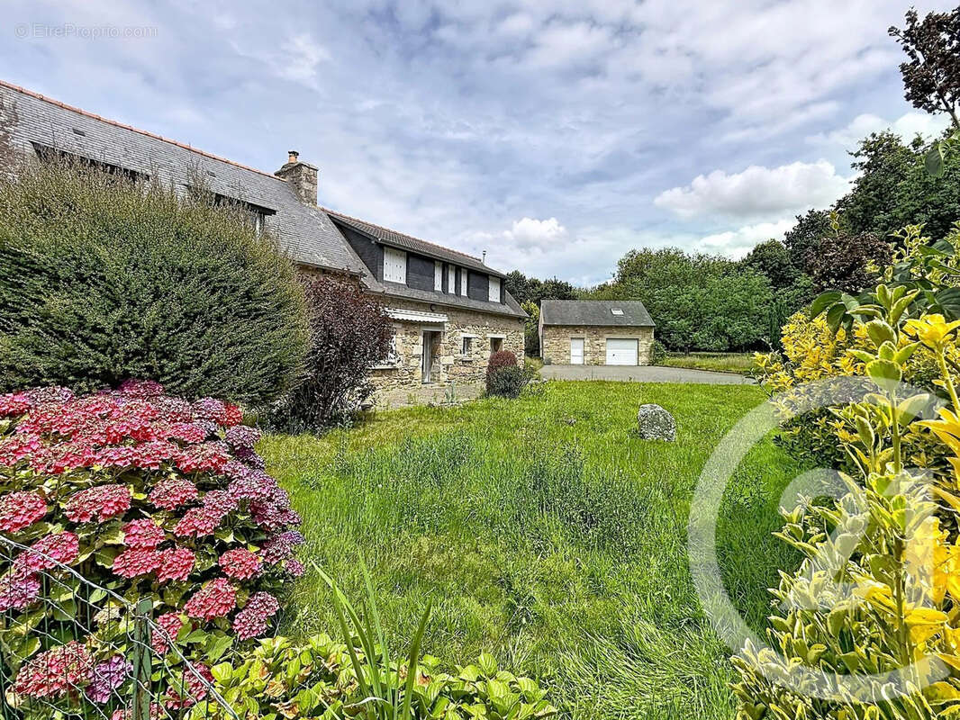Maison à LOUANNEC