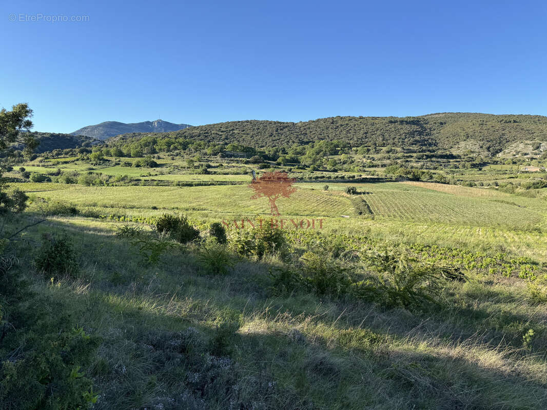 Terrain à MONTPEYROUX