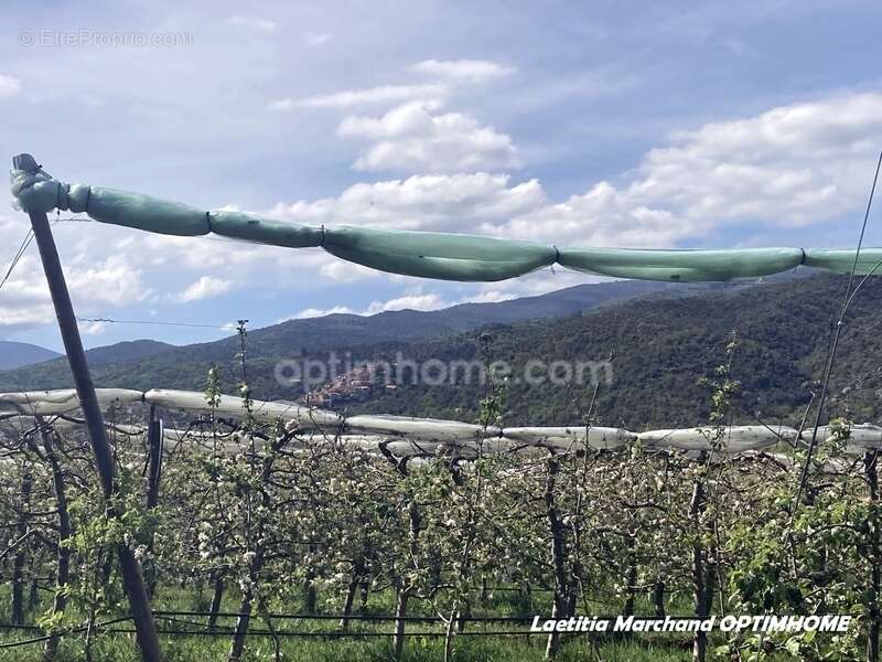 Terrain à MARQUIXANES