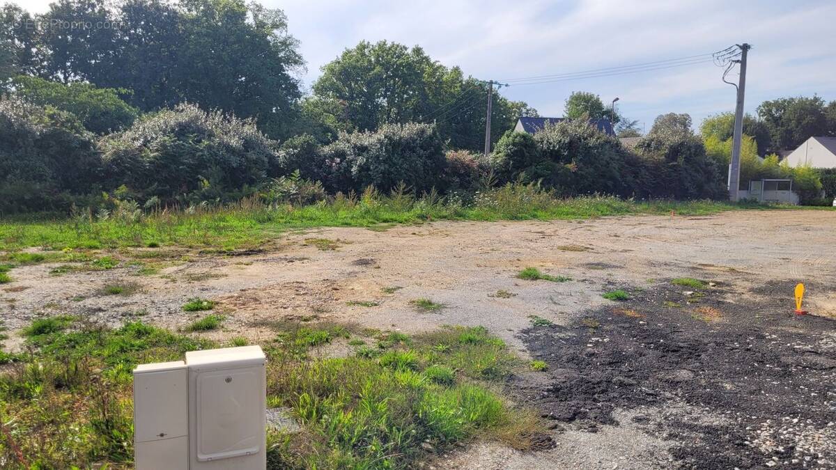 Terrain à SUCE-SUR-ERDRE