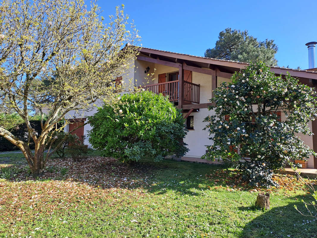 Maison à VILLENAVE-D'ORNON