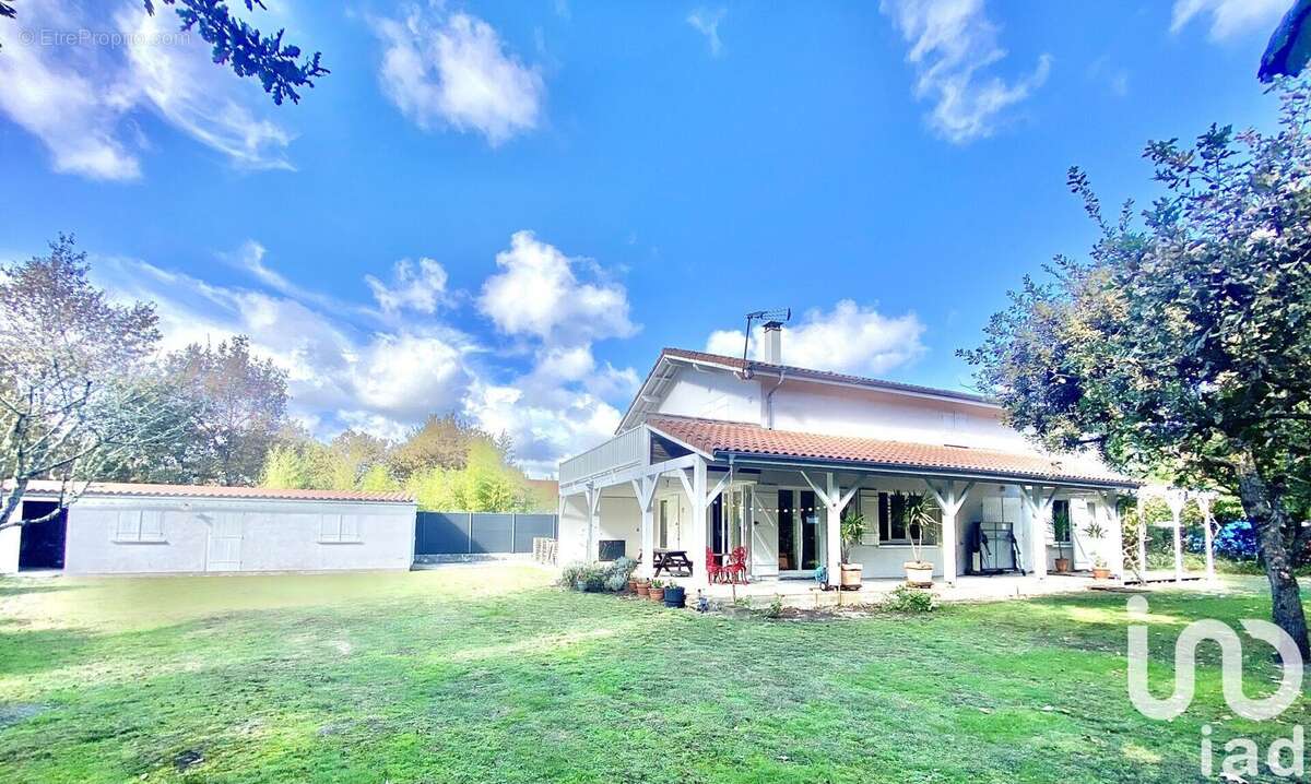 Photo 2 - Maison à SAINT-JULIEN-EN-BORN