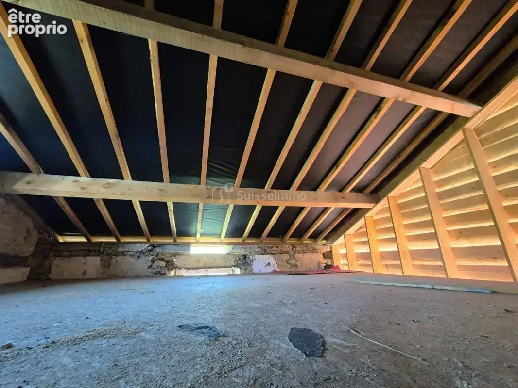 Maison Vernois Sur Mance 4 pièce(s) 120 m2 sur 460 m2 de jardin arboré - photo 13
