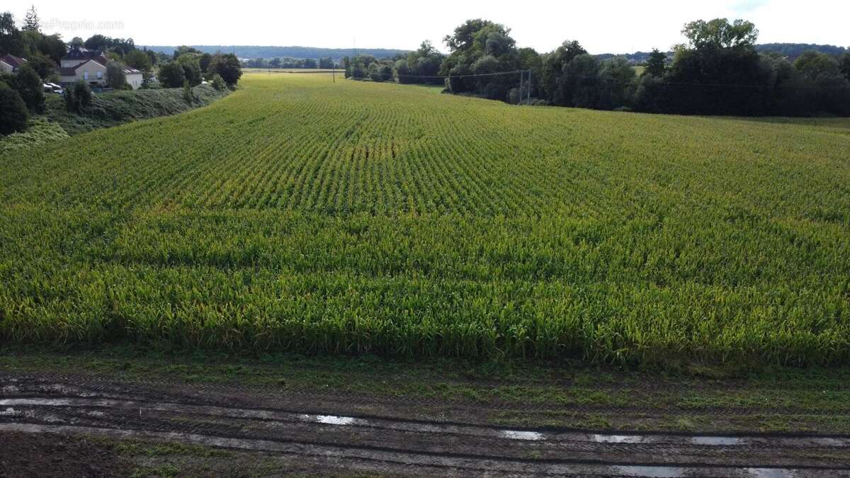 Terrain à ALTKIRCH