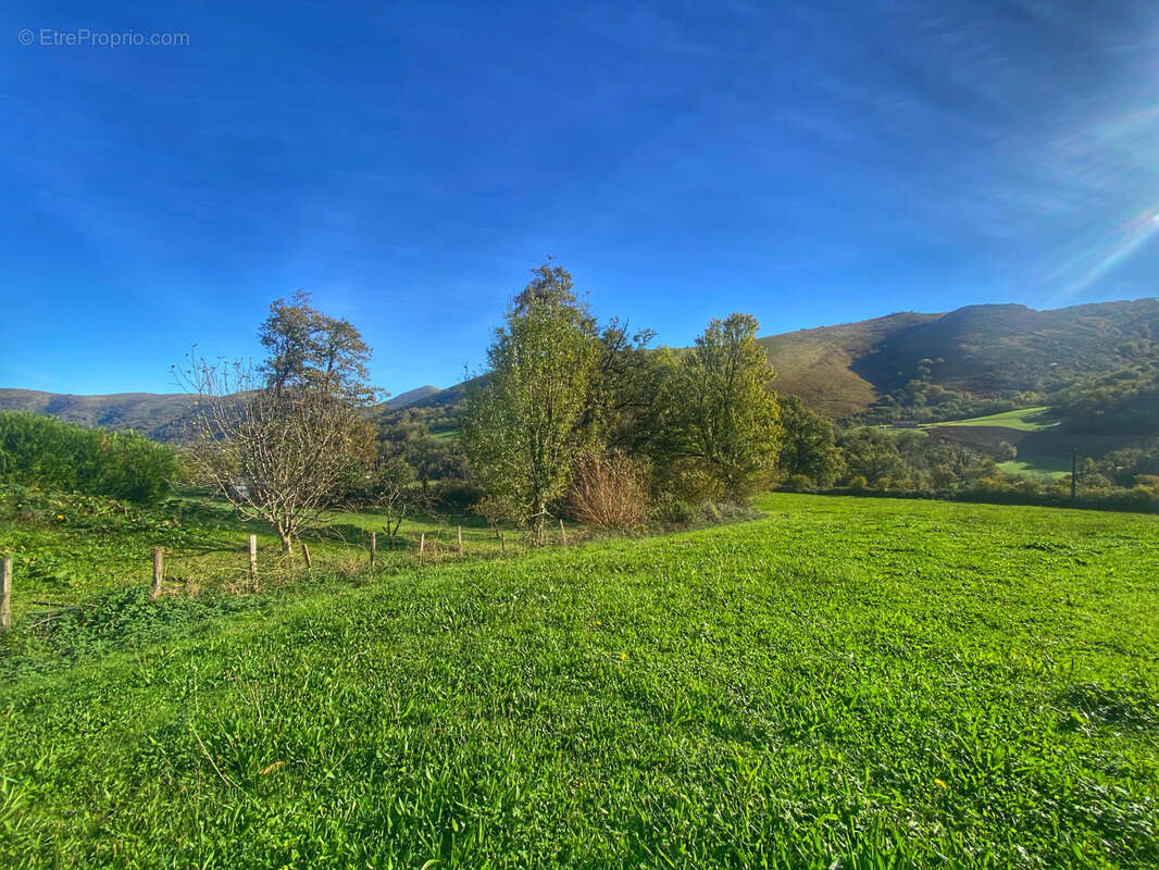 Terrain à LARCEVEAU-ARROS-CIBITS