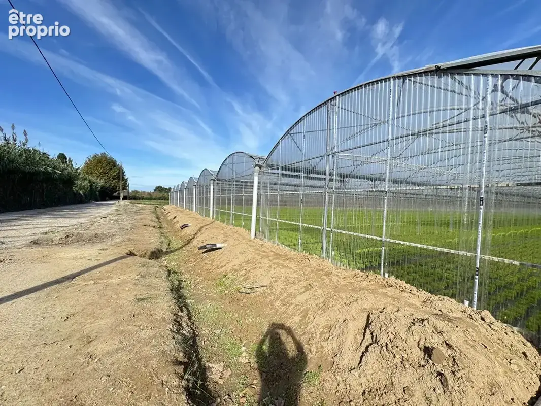 Domaine agricole Bompas et Villelongue de la Salanque 31000 m2 - photo 4