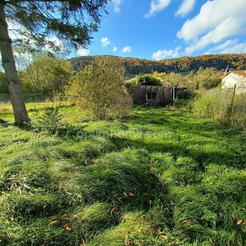 Maison à BRANDEVILLE