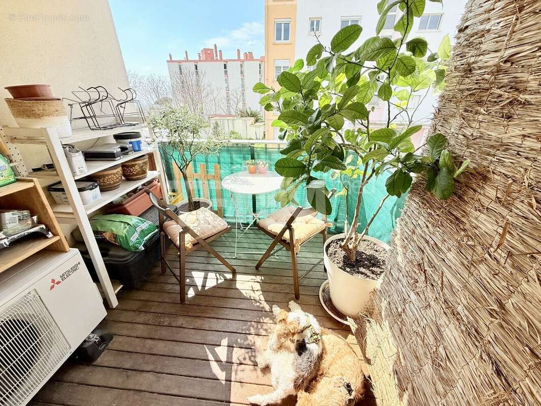 Appartement à SETE