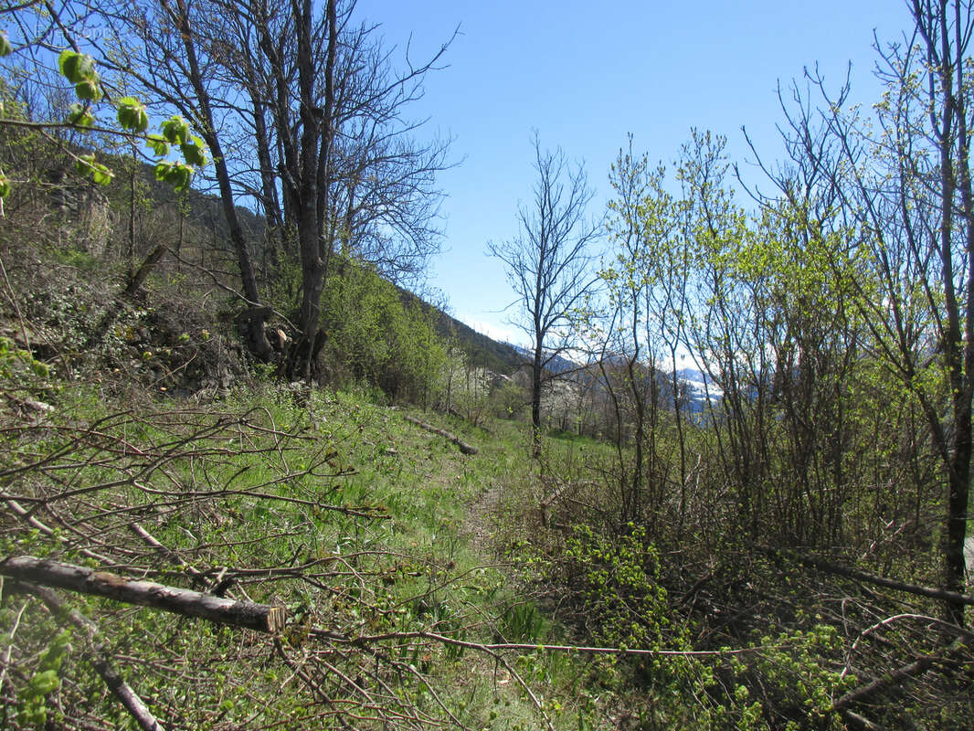 Terrain à SAINT-CREPIN