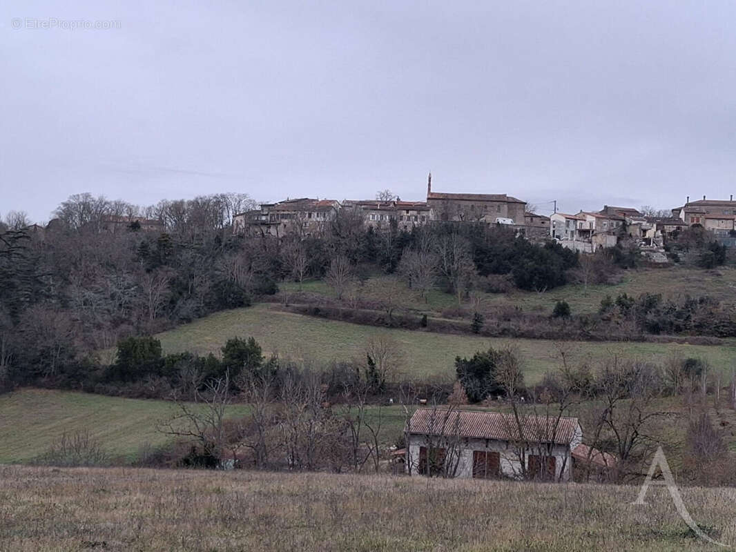 Terrain à LE FAGET