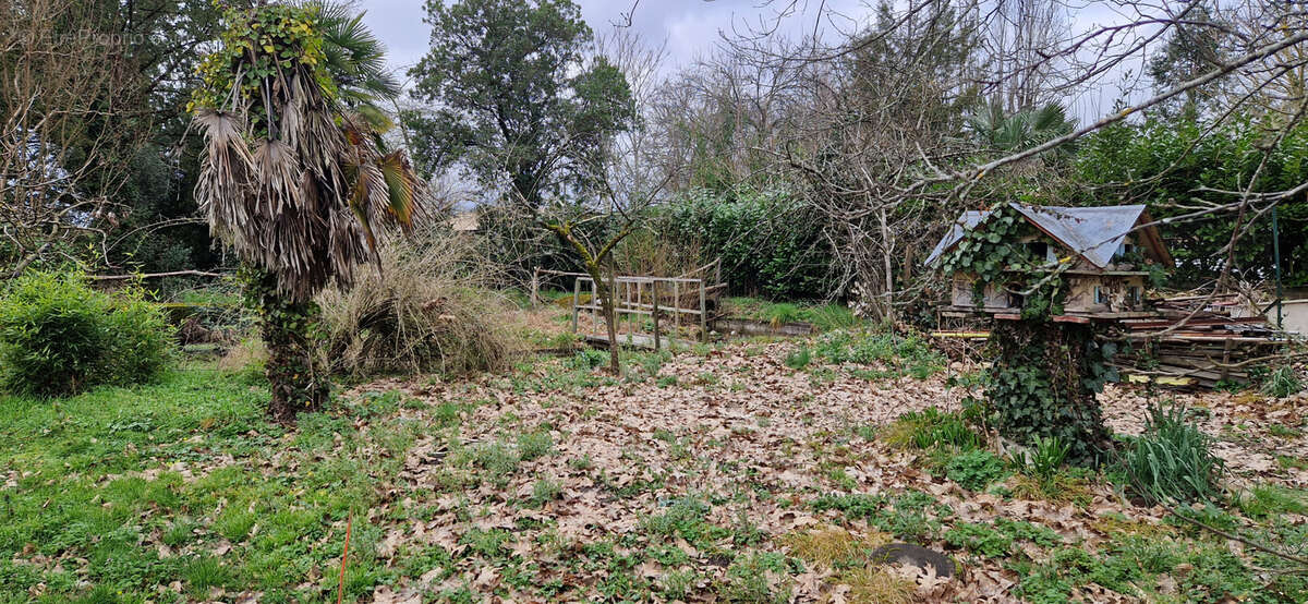 Terrain à CANTENAC