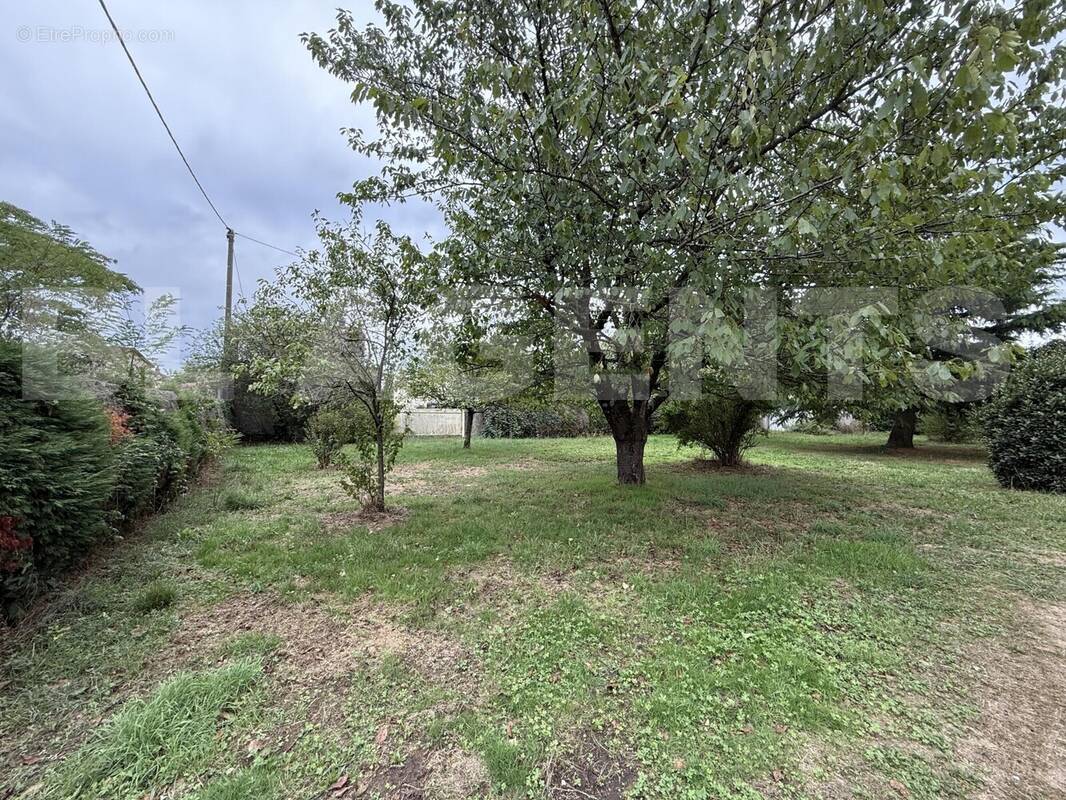 IMG_2812 - Terrain à AUSSILLON