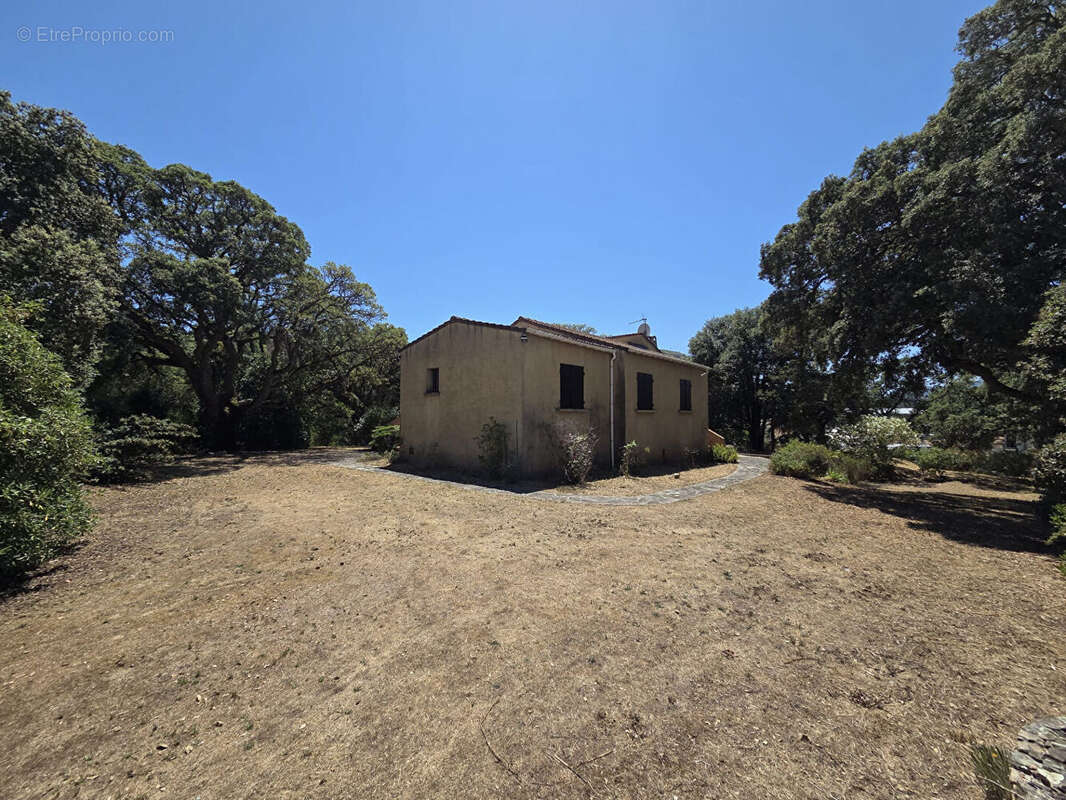 Maison à SARROLA-CARCOPINO