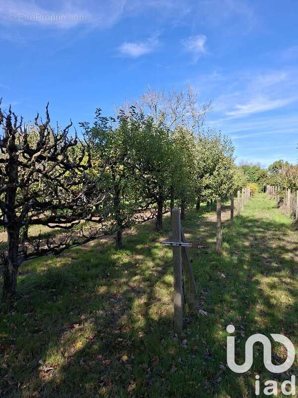 Photo 4 - Maison à SAINT-VIAUD