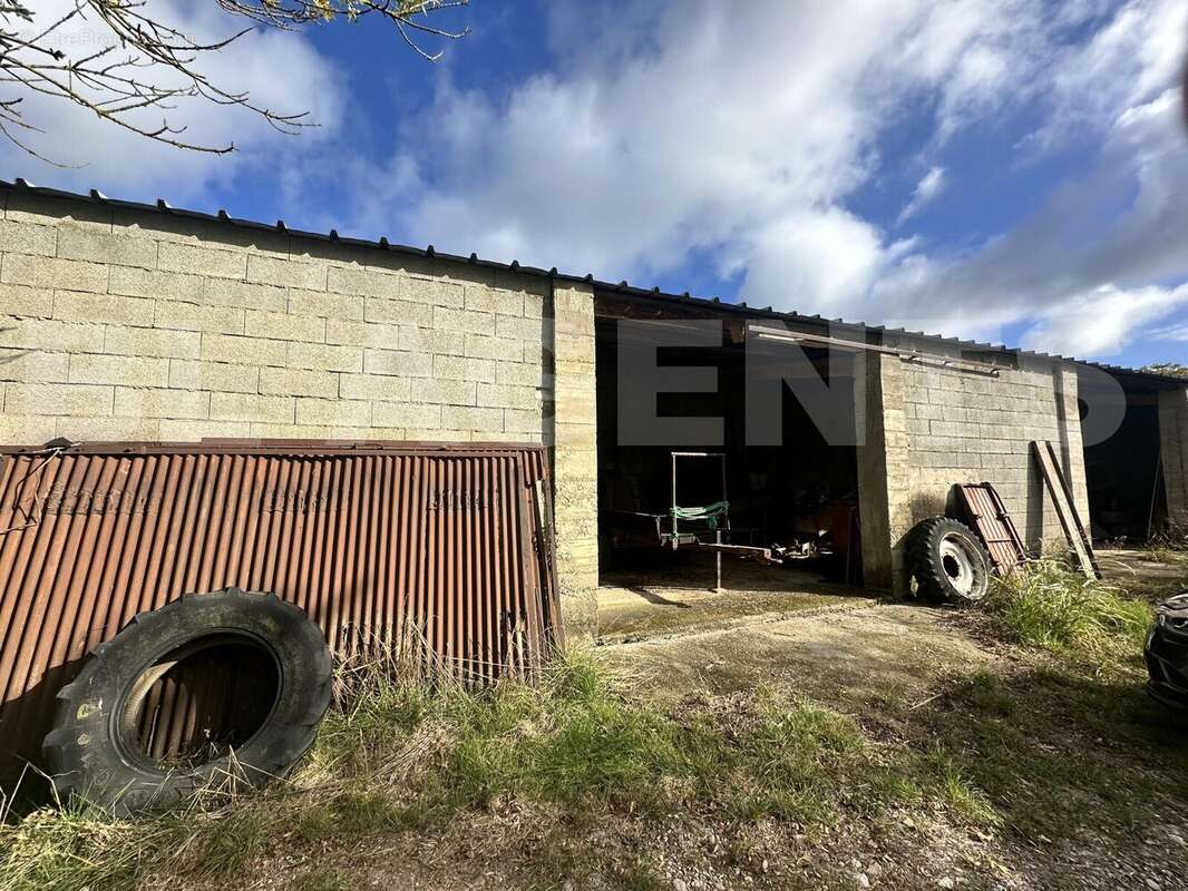 IMG_1356 - Maison à VILLEFLOURE