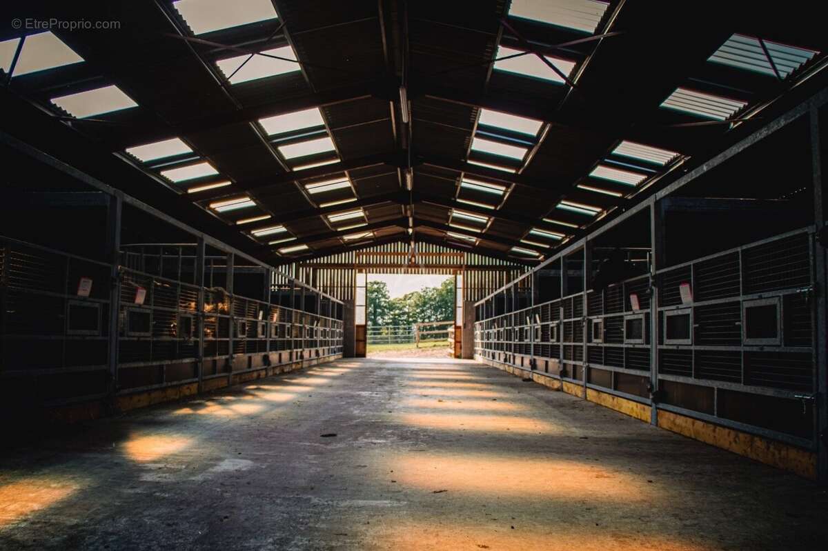 Maison à LA FERTE-MACE