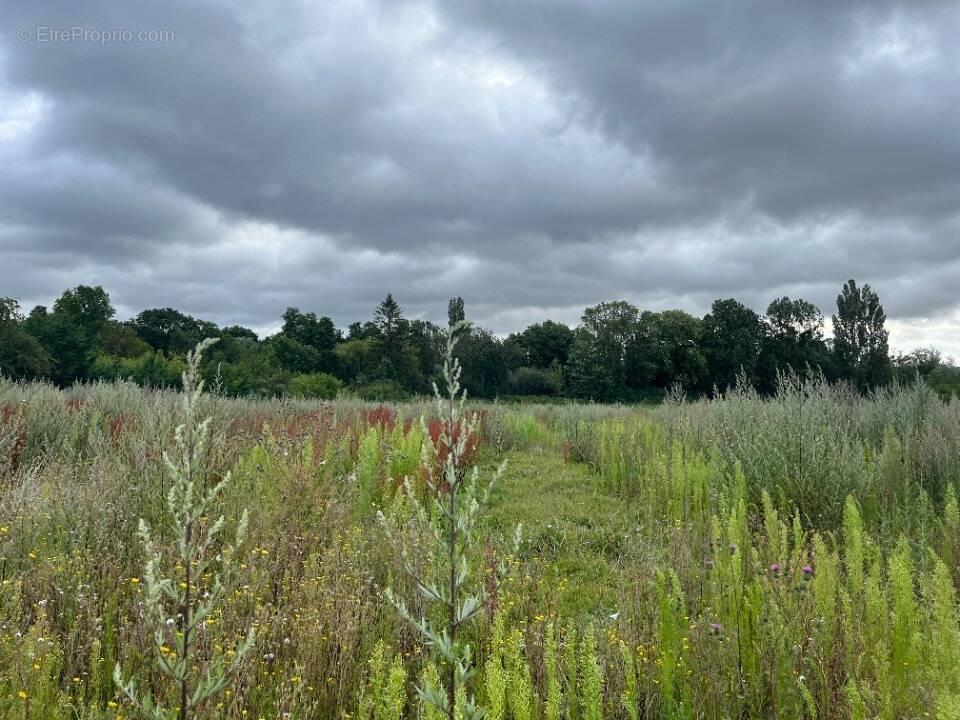 Terrain à LES DAMPS